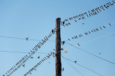 Similar image 859976