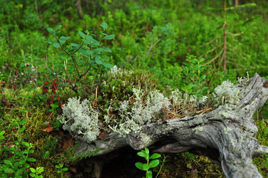 Similar image 860235