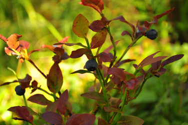 Similar image 860237