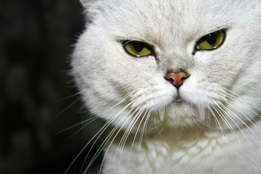 Similar image 860482