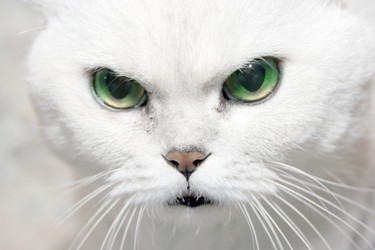 Similar image 860483