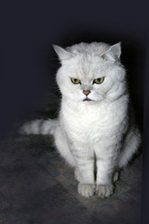 Similar image 860484