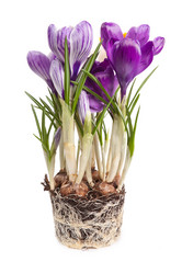 Similar image 860544