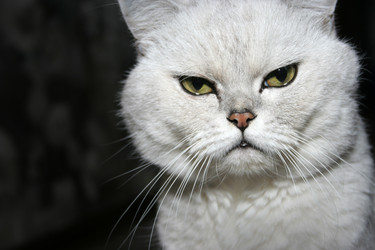 Similar image 860608