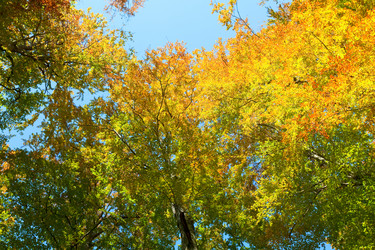 Similar image 860613