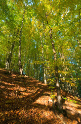 Similar image 860614