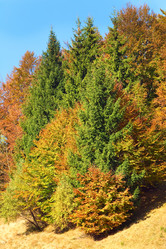 Similar image 860617