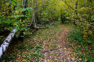 Similar image 860661