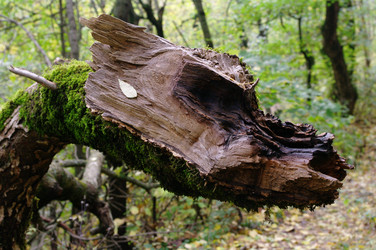 Similar image 860676