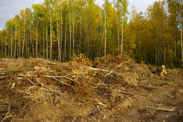 Similar image 860681