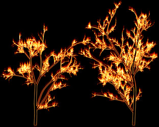 Similar image 860735