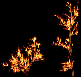 Similar image 860736