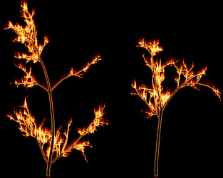 Similar image 860738