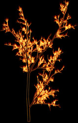 Similar image 860739