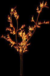 Similar image 860740