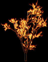 Similar image 860742