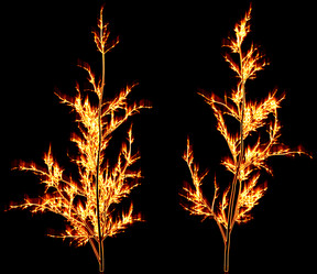 Similar image 860743