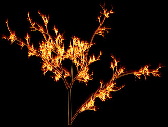 Similar image 860745