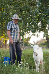 Similar image 860786