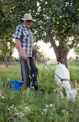 Similar image 860790