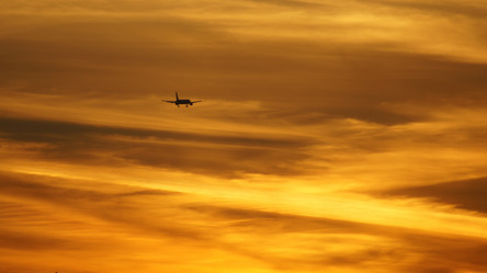 Similar image 861092