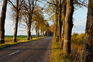 Similar image 861106