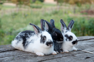 Similar image 861173