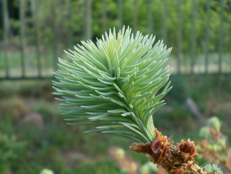 Similar image 861184