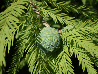 Similar image 861191