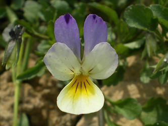 Similar image 861194