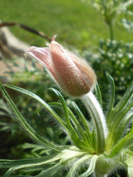 Similar image 861201