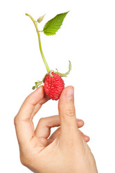 Similar image 861251