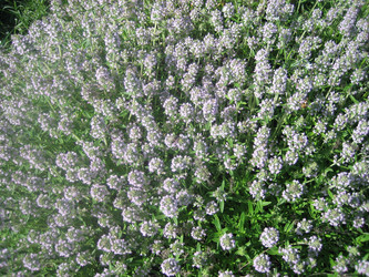 Similar image 861336