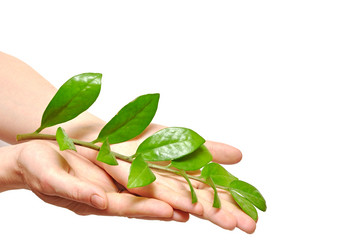 Similar image 861363