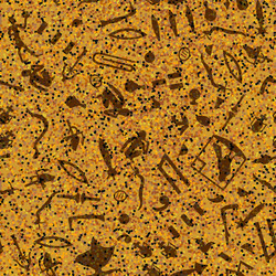 Similar image 861375