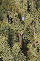 Similar image 861433