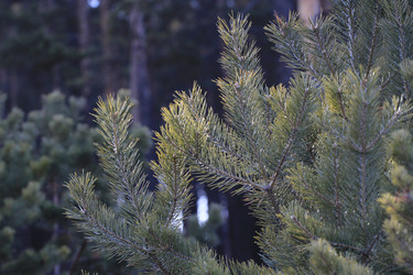 Similar image 861434