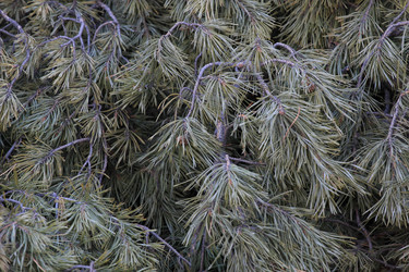 Similar image 861491