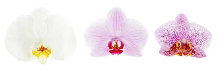 Similar image 861518