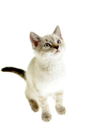 Similar image 861523