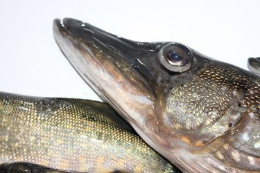 Similar image 861572