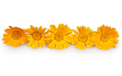 Similar image 861615