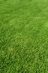 Similar image 861711