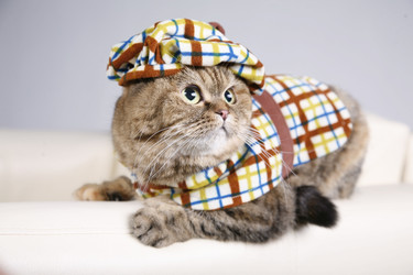 Similar image 861802