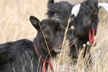 Similar image 861811