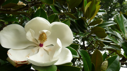 Similar image 861884