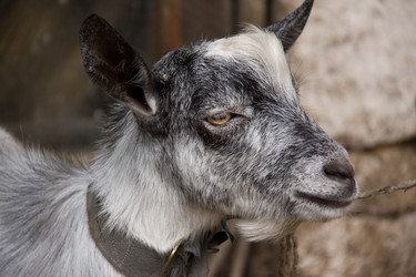 Similar image 861953