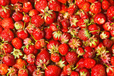 Similar image 862413