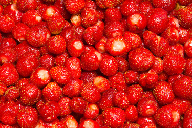 Similar image 862414