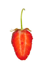 Similar image 862433